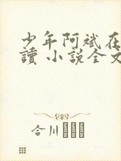 少年阿斌在线阅读 小说全文免费