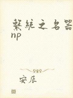 系统之名器攻略np