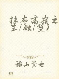 抹布高岭之花(生/触/双)