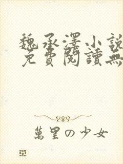 魏承泽小说全文免费阅读无弹窗笔趣