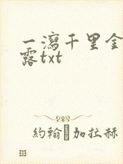 一泻千里金银花露txt