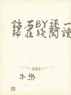 钻石BY逐一而归在线阅读