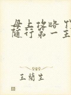 母上攻略 竹影随行第一主板