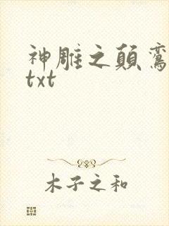 神雕之颠鸾倒凤txt