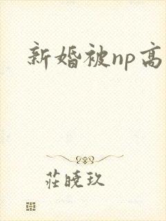新婚被np高h