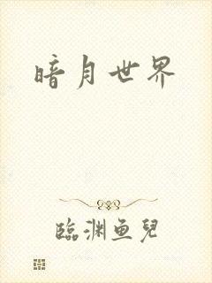 暗月世界