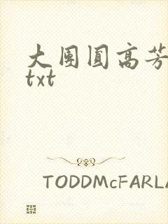 大团圆高芳小说txt