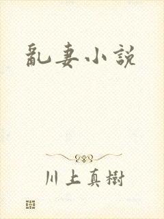 乱妻小说