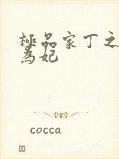 极品家丁之册母为妃