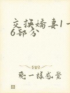 交换娇妻1一36部分