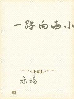 一路向西小说