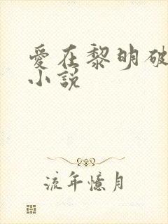 爱在黎明破晓前小说