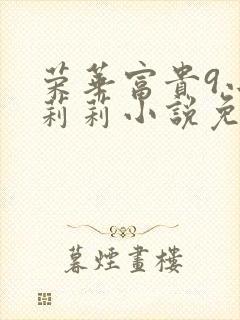 荣华富贵9小王莉莉小说免费阅读