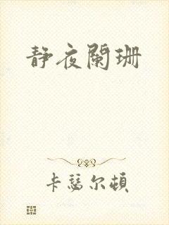 静夜阑珊