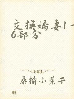 交换娇妻1一36部分