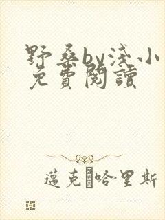 野桑by浅小说免费阅读