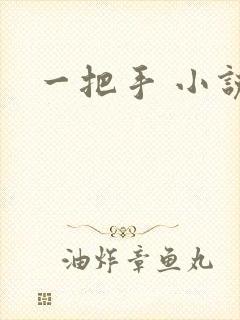 一把手 小说