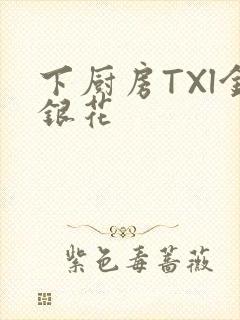 下厨房TXl金银花