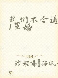 我们不合适1v1军婚
