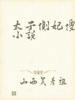 太子侧妃傻乎乎小说