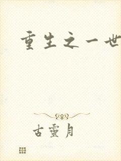 重生之一世枭雄