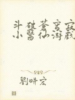 斗破苍穹寂寞的小医仙游戏世界