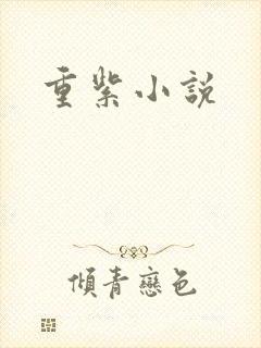 重紫小说