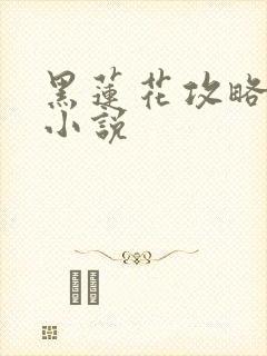 黑莲花攻略手册小说