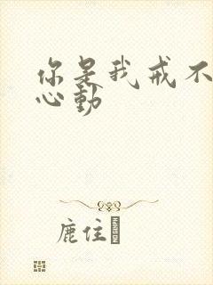 你是我戒不掉的心动