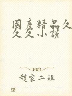 国产精品久久久久久小说