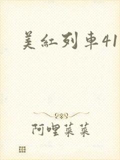 美红列车41章