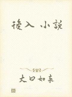 后入 小说