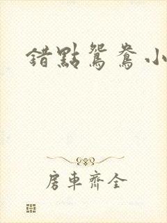错点鸳鸯小说