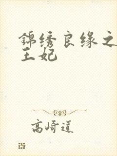 锦绣良缘之北地王妃