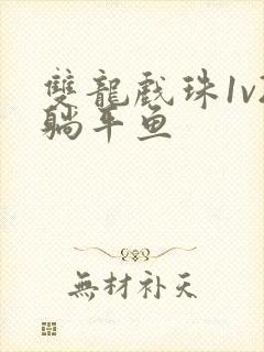 双龙戏珠1v2躺平鱼