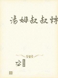 汤姆叔叔转接口