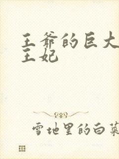 王爷的巨大进入王妃