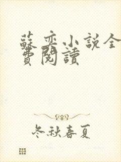 苏奕小说全文免费阅读