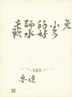 老师的小兔子好软水好多