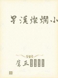 星汉灿烂小说