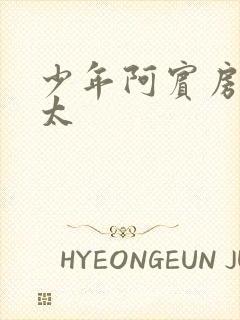 少年阿宾房东太太