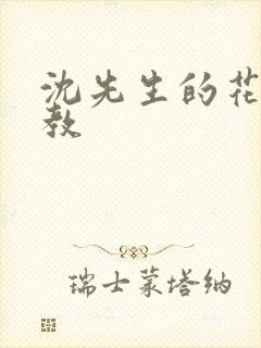 沈先生的花式调教