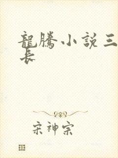 龙腾小说三宝局长