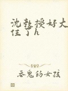 沈教授好大含不住了h