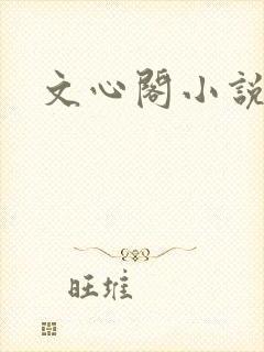 文心阁小说