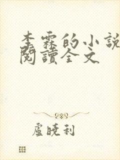 李霖的小说免费阅读全文