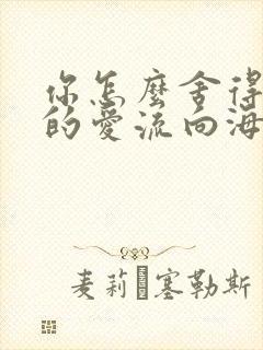 你怎么舍得让我的爱流向海