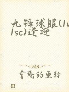 九号球服(1v1sc)逢迎