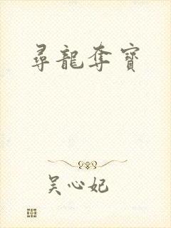 寻龙夺宝