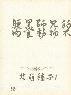 腹黑师兄的日常肉食动物不食草